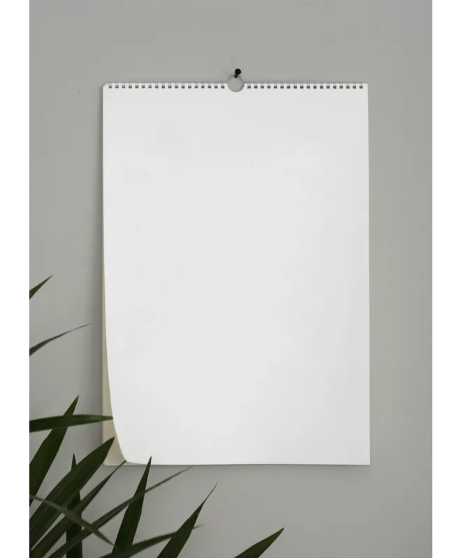 Wall calendar (2025) (Your design)