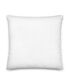 Premium Pillow (Your design)